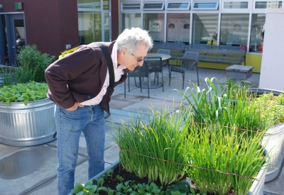 A smiling white man with white hair, wearing jeans and a messenger bag, bending over a bountiful garden bed. 