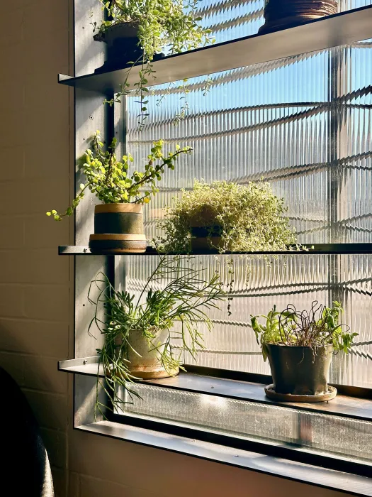 Adjustable shelves holding plants at DBA_OAK.
