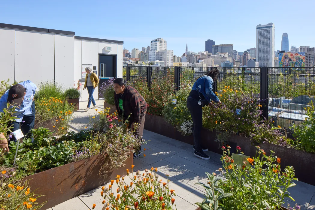 Residents gardening on the rooftop garden at Interior view of a unit at 555 Larkin in San Francisco.